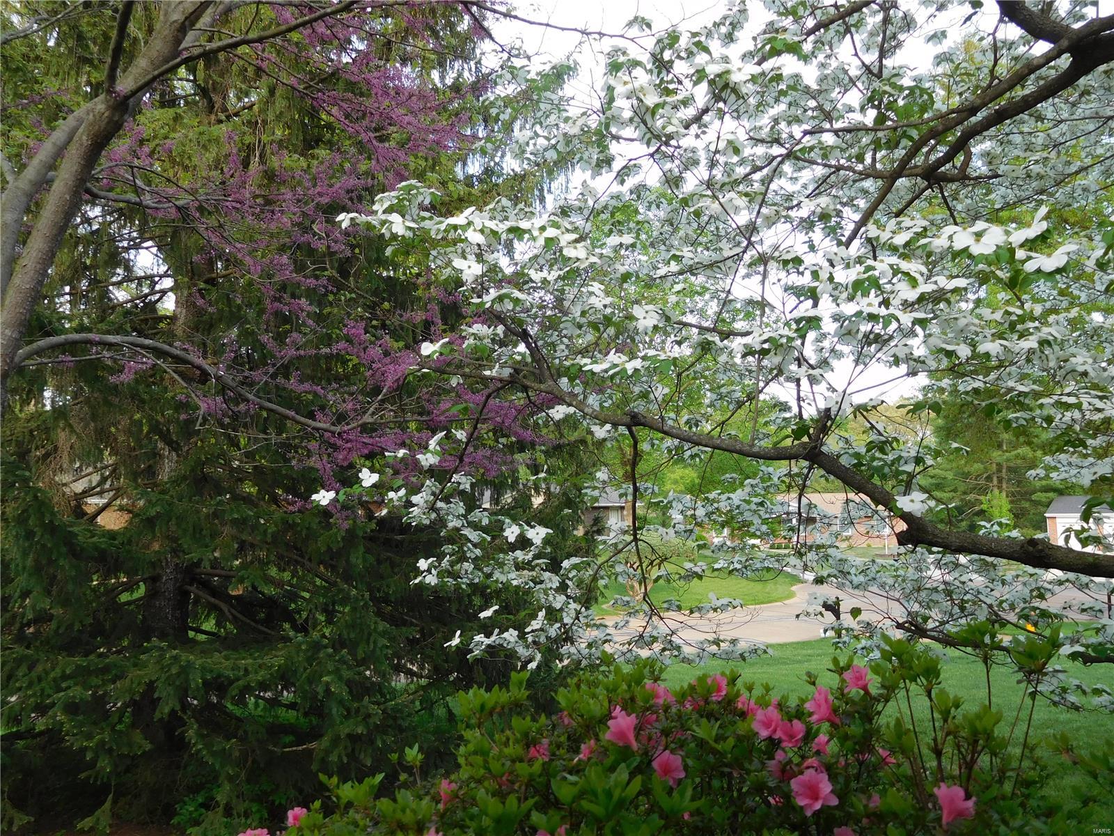 Wild-Wood - Residential