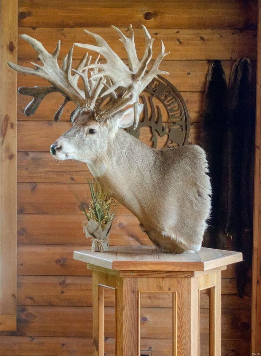 Here is a rare opportunity to own your own income producing deer farm. The deer that are harvested here are raised on the farm. There is lots of room to increase the doe herd which would increase your harvestable bucks. The owner is already booking hunts for next year and has an established client base. There is a large hunting lodge, two cabins numerous out buildings and two twenty acre lakes plus a total of fifteen hundred sixty five acres M/L. The high fence is state approved high fence. Owner financing available to qualified buyers.