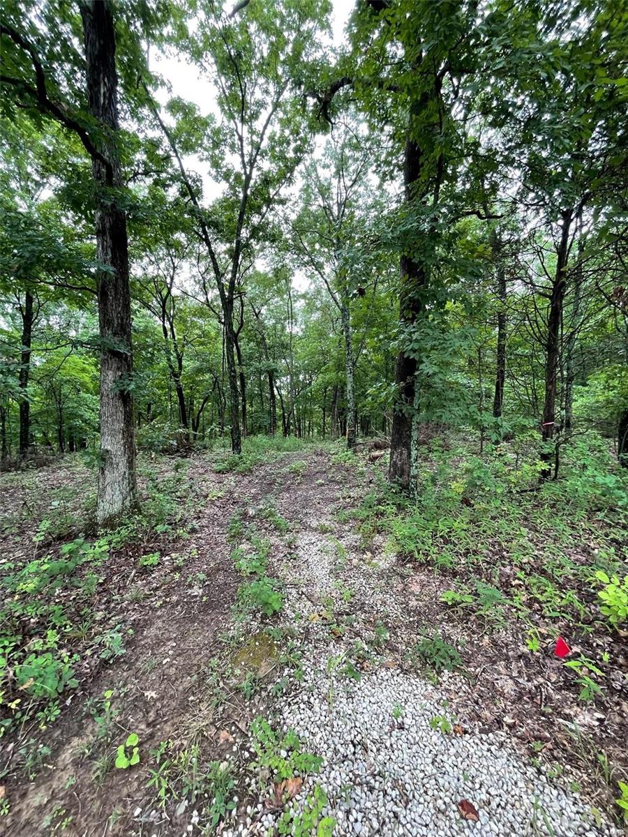 Pamda Li Estate - Land