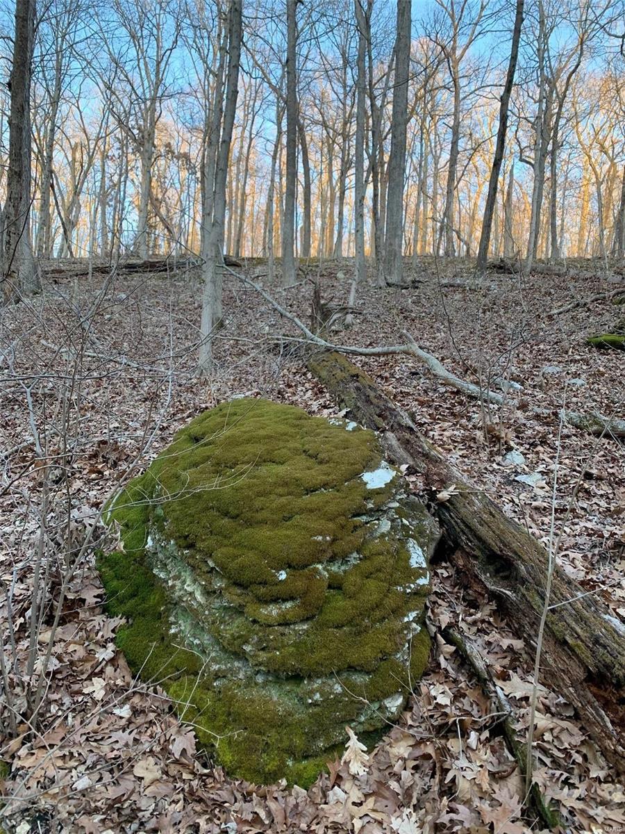 Pamda Li Estate - Land