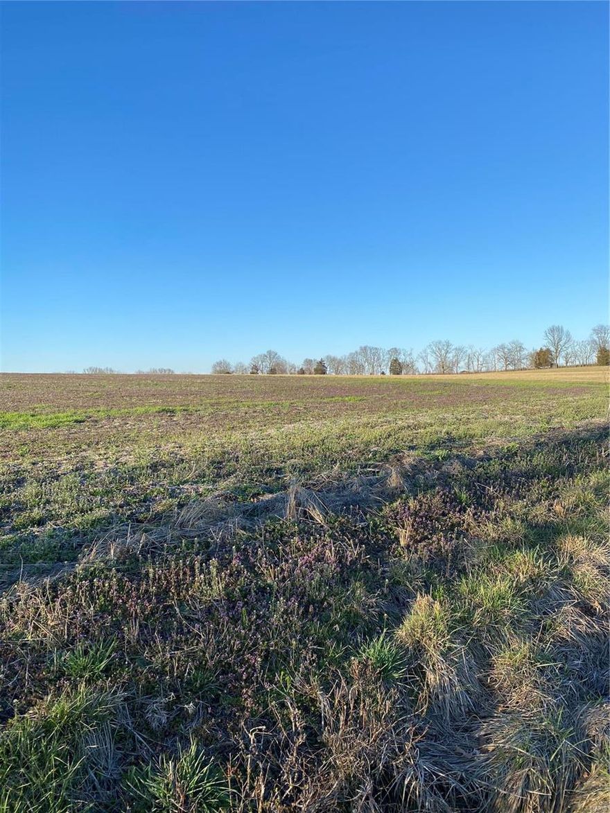 Perfect for development or 1031 exchange property.This 66.6 m/l acre surveyed ppty is across the street from Town & Country Acres Subdivision,zoned R-1B,in the city of Flint Hill.The ppty is currently in unincorp.St. Charles county in award winning Ft. Zumwalt North Senior H.S..It is just 8 minutes away from the Wentzville Parkway & the Wentzville Rec Complex.It also is just down the street from the GM Factory.The property is currently farmed by a tenant,who rotates crops on about 26 acres of flat/gently rolling land.Another 27 m/l acres is in woods & 13 m/l acres is in pasture.Approx.7 acres at the northern end is Zone A,a flood hazard area with a 1% annual chance of flooding.It abuts a large pond which extends onto the neighbors property on the east.Numerous ponds/pond sites create beautiful scenic views along w/rolling treed topography.Given it elongated rectangular shape,the property is perfect for a single subdivision road w/residential lots off either side creating w/o lower lvls