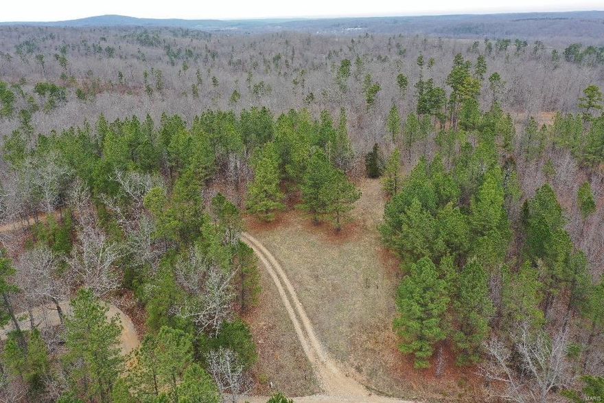 24+/- acres with county road frontage, electric and Castor River right down the road. Located just South of Marquand, and on a dead end county road, this mostly wooded tract has good access, a nice stand of young pines and a clearing for your cabin or camper. Would make a great weekend get-a-way or secluded building site.