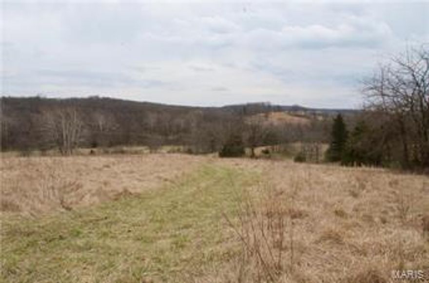 221.63 surveyed acres w/ 3BR/1BA earth home & metal shop building w/ cement floor.  Property developed as income producing hunting property. Located in the sweet spot of Pike County, MO, less than one mile from Malinmor Hunt Club. Several large tract landowners practice QDM in this area. If you are serious about an opportunity to own the right tract, in the right area, do not let this one slip away! Additional points of access available to the property, as well as possible building sites w/ incredible views of the rolling hills of Pike County. Stocked fishing pond will provide year round fun for the family, & plans are available to build a 7-9 acre lake. Home updated in the past year w/ county water, all new plumbing, carpeting & flooring, drywall, paint, fans, window treatments, new hot water heater, & new lighting in the shop. 45+/- acres are currently in crop production. 2 redneck blinds, & 6 ladder stands will convey w/ property. Property is turnkey and ready to hunt this season.