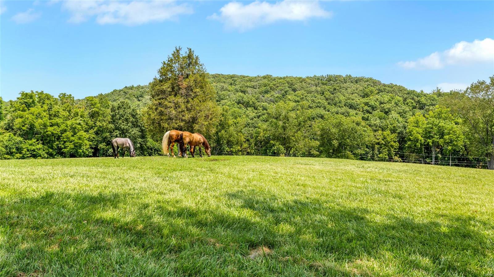 Flat Rock Valley Lts 1 & 4 Bdy Adj Lt - Residential