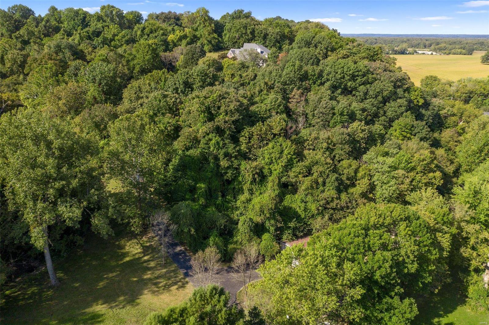 Wildhorse Creek Forest - Residential