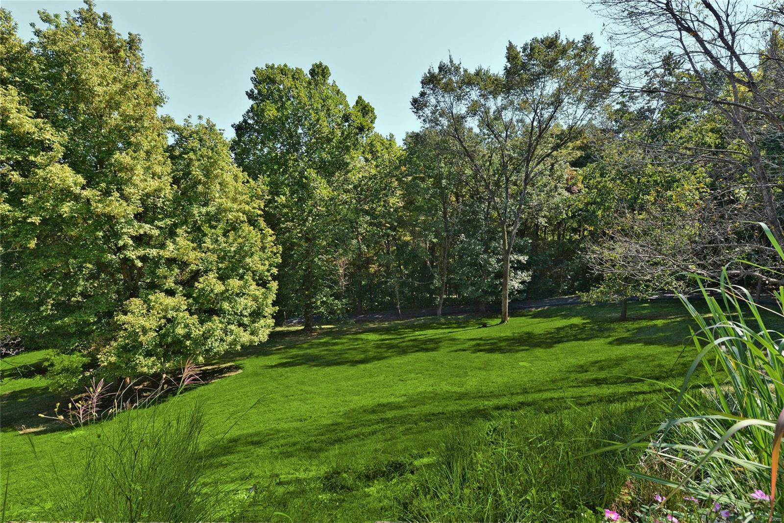 Wildhorse Creek Forest - Residential