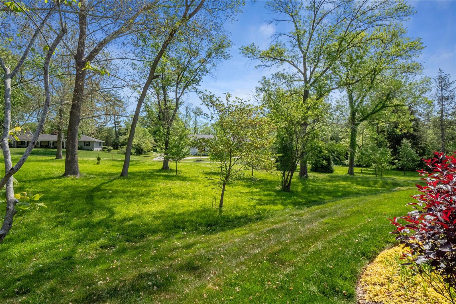 Woods Of Ladue The - Residential