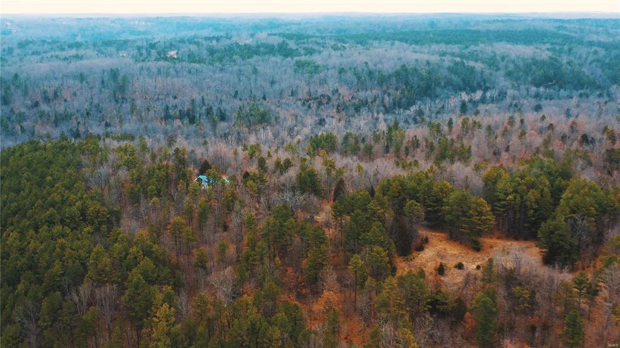 This Slaughter Rd property offers 40+/- acres! This property has two small ponds and is in a great area for hunting deer, turkey and boar! Not only are you getting acreage for hunting and other recreation, but there is also a 30x40 pole barn with a gravel floor nestled within the property. There is also some pasture area! Please make sure to view the virtual tour, you are going to want to see all of what this property has to offer! Call us today to schedule your showing!