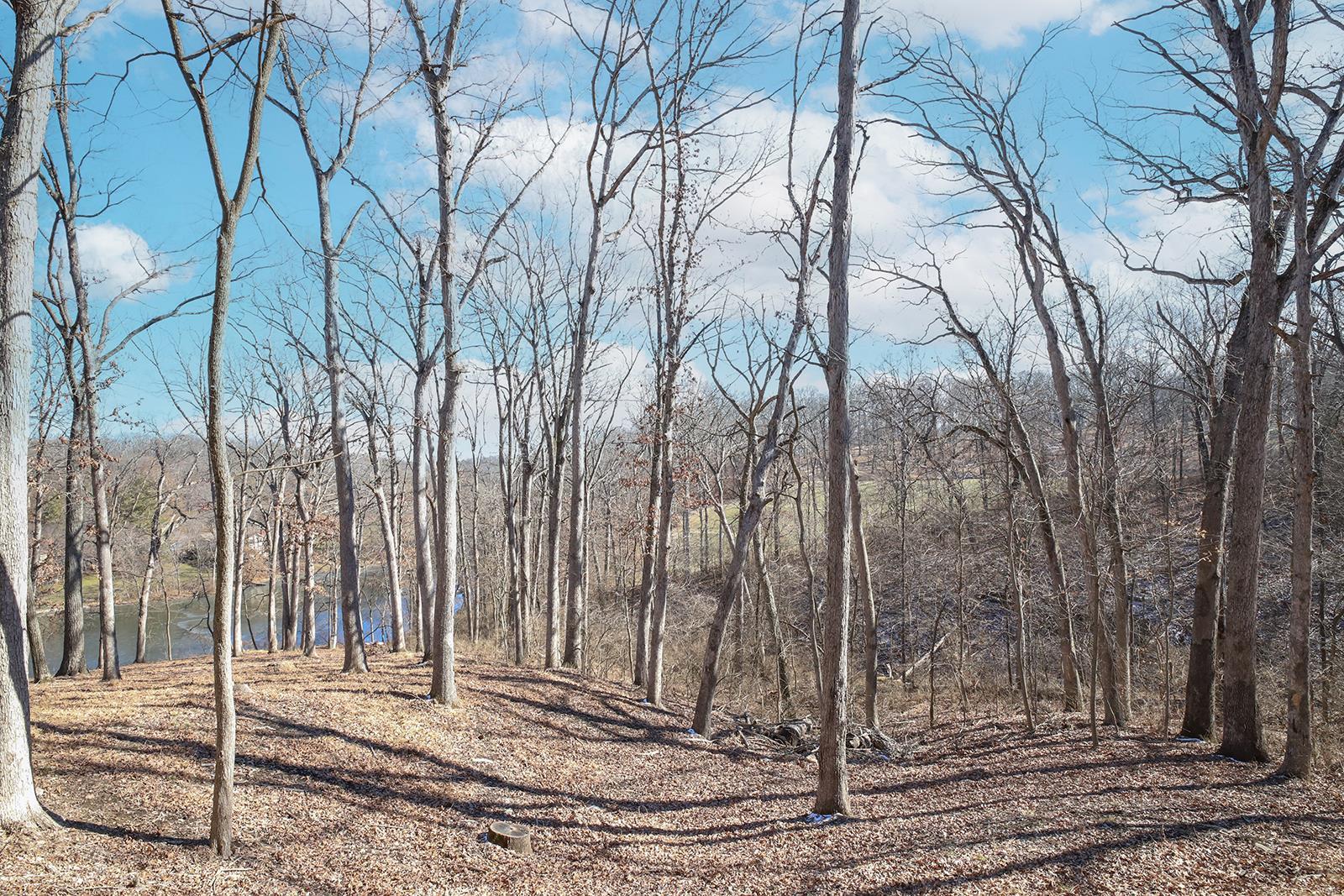 Kehrs Mill Trails - Residential