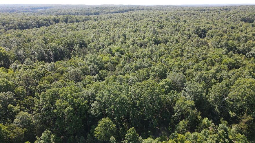 VIP4686 40 acres of excellent hunting ground with some marketable timber. Multiple build sights and highway frontage. Within 10 minutes of Montauk and Salem. Call to schedule a private showing today.