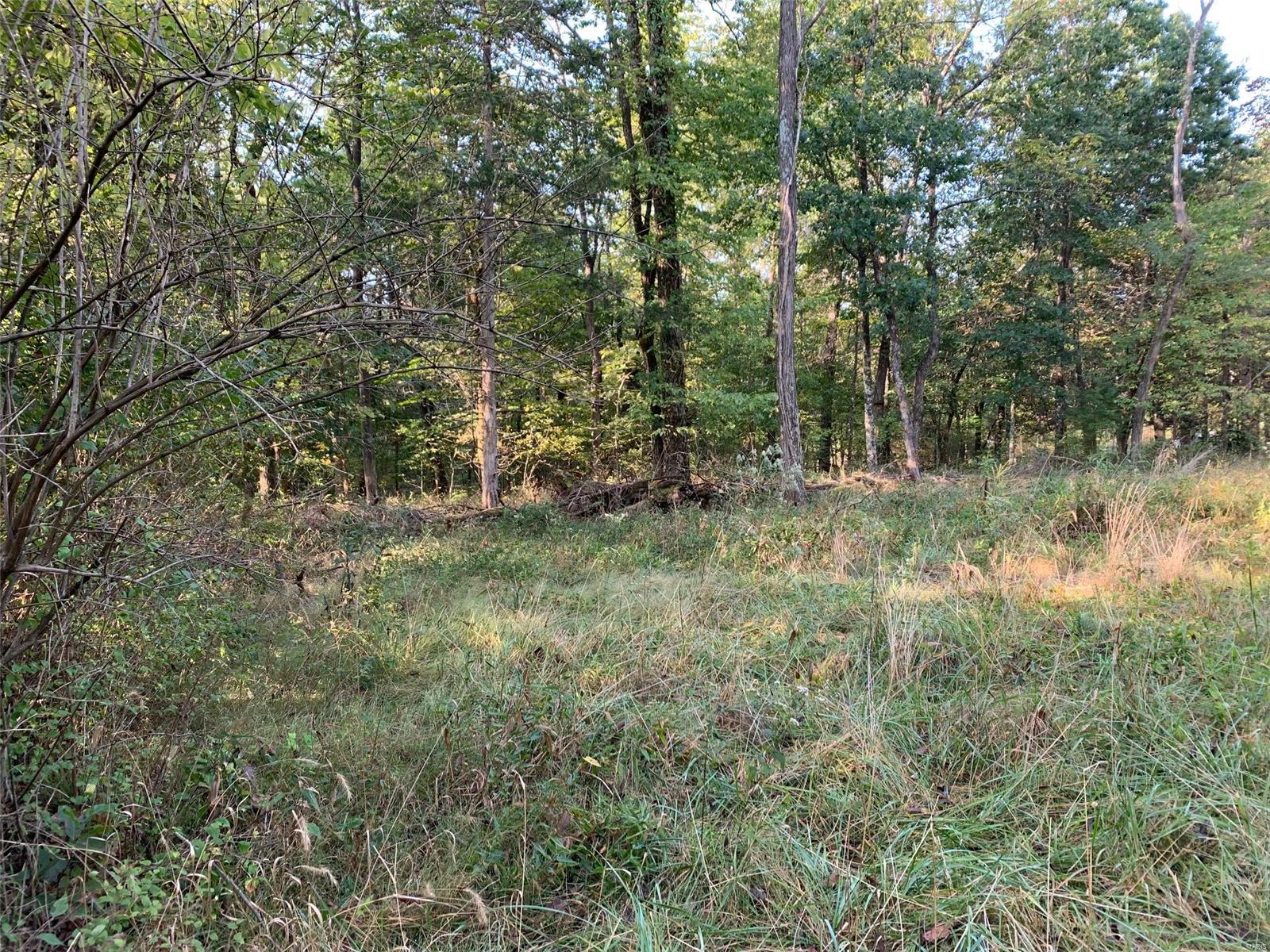 Williamsburg - Farm
