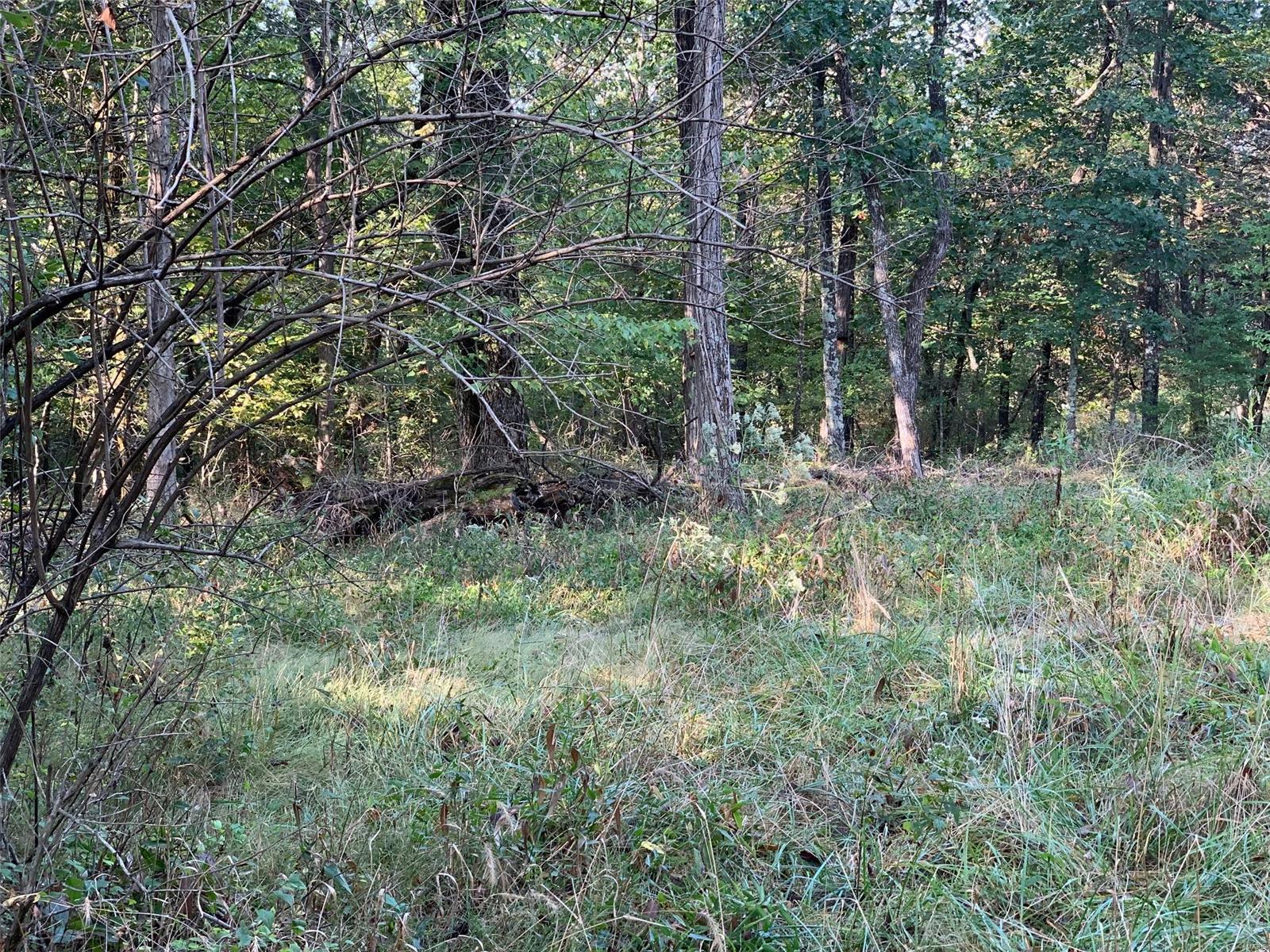 Williamsburg - Farm