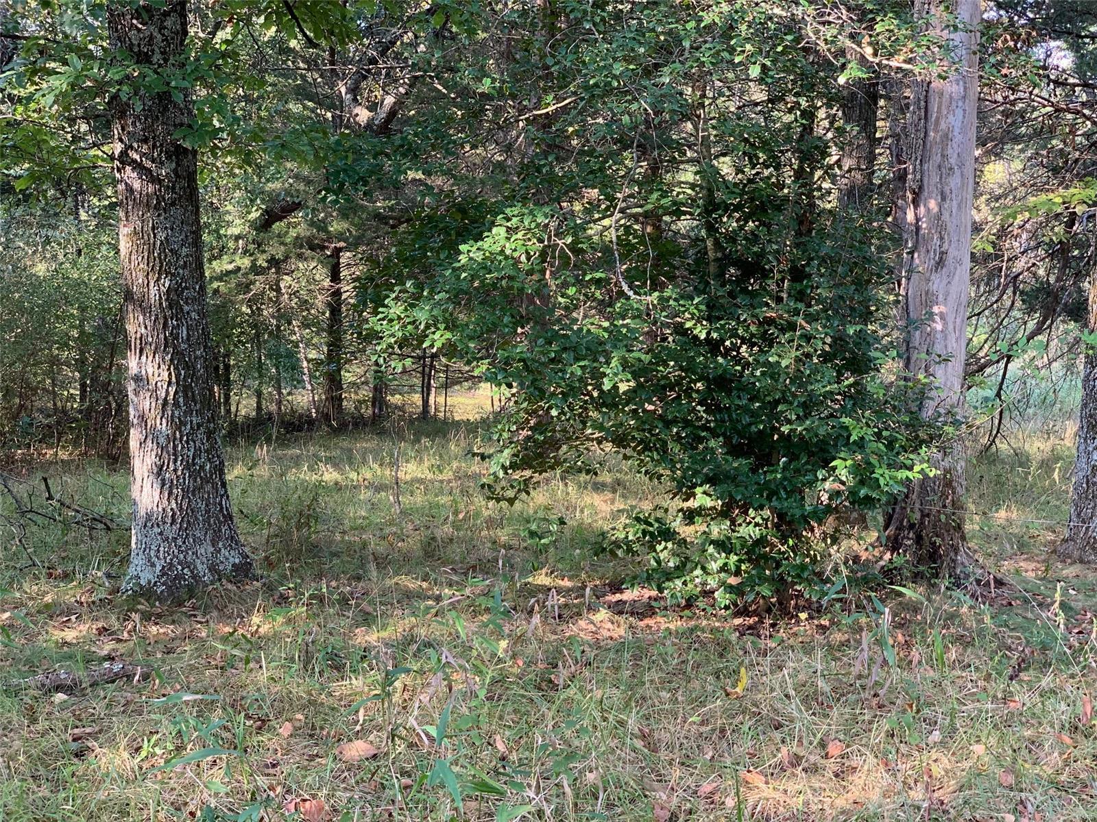 Williamsburg - Farm