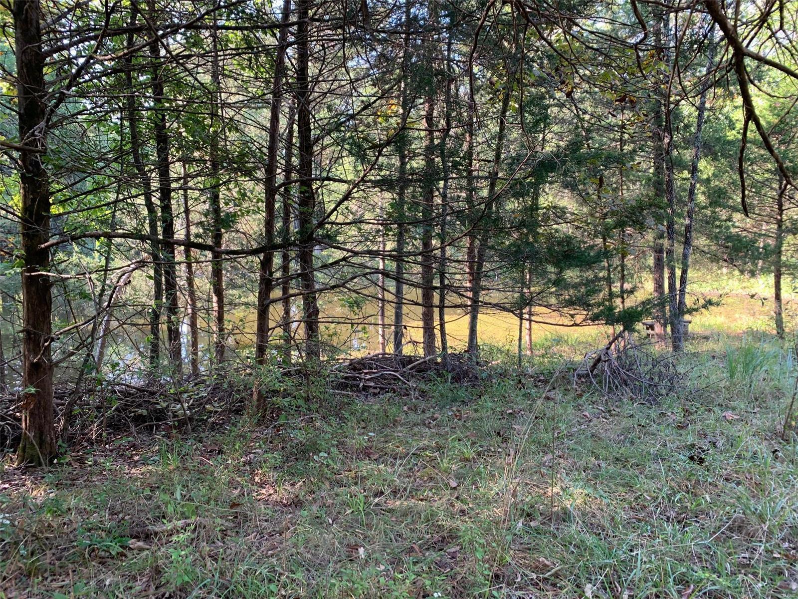 Williamsburg - Farm