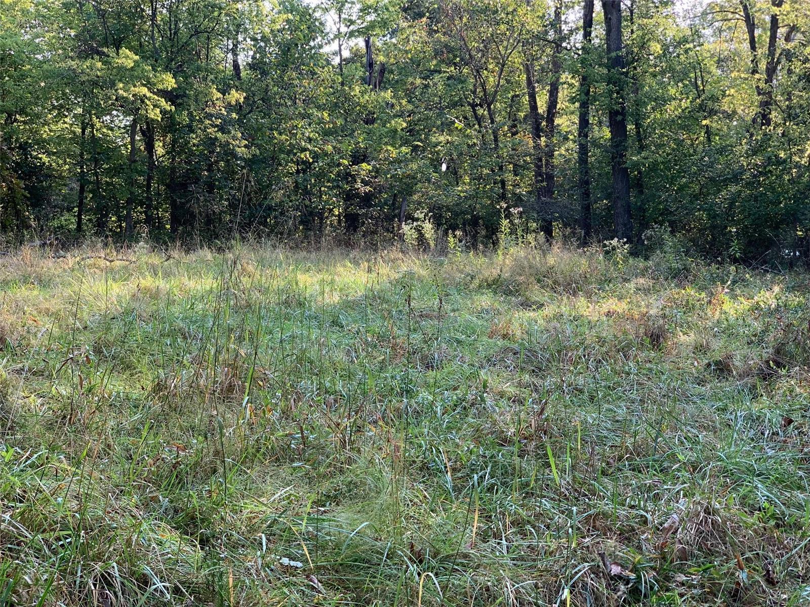 Williamsburg - Farm