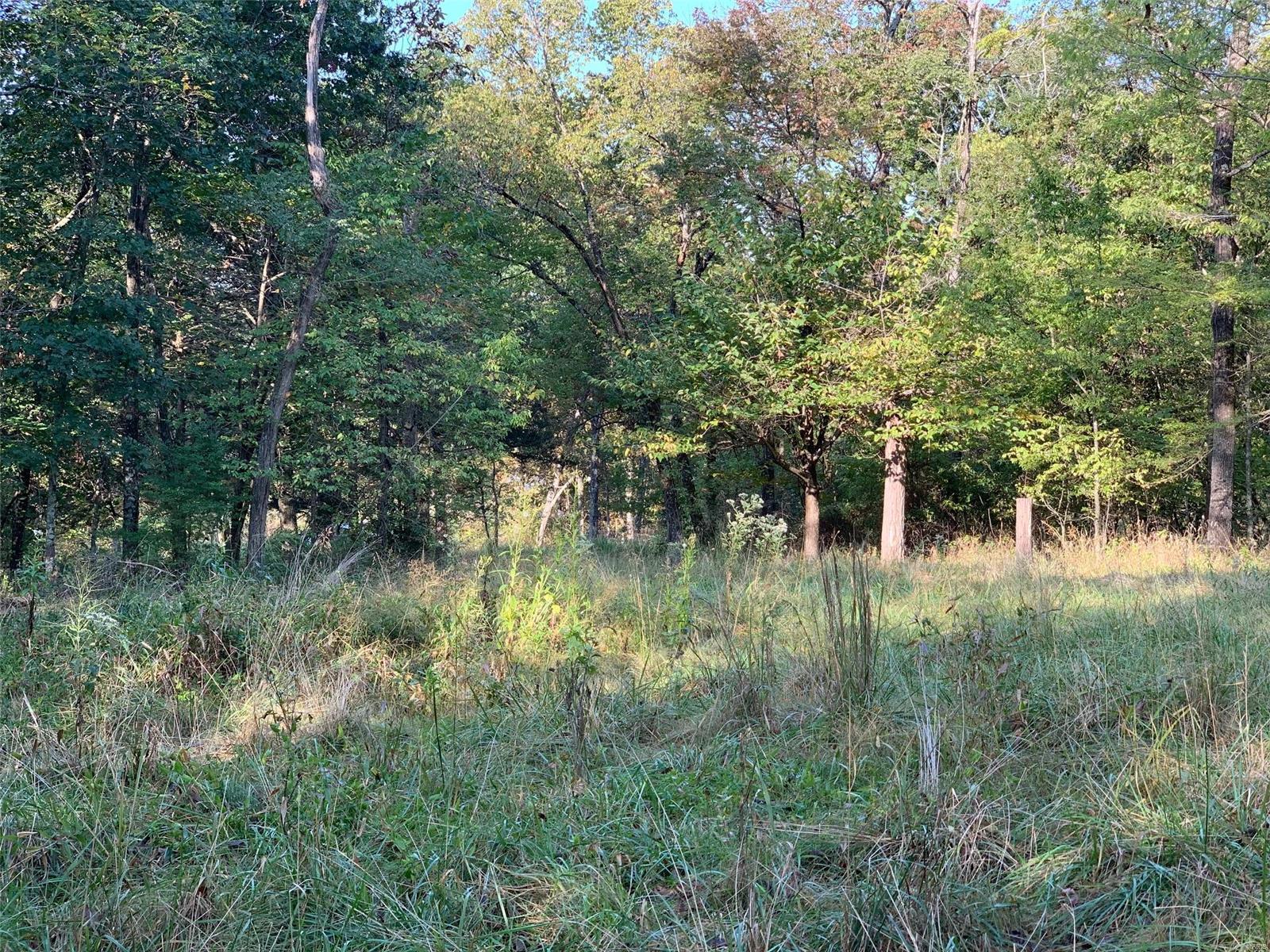 Williamsburg - Farm