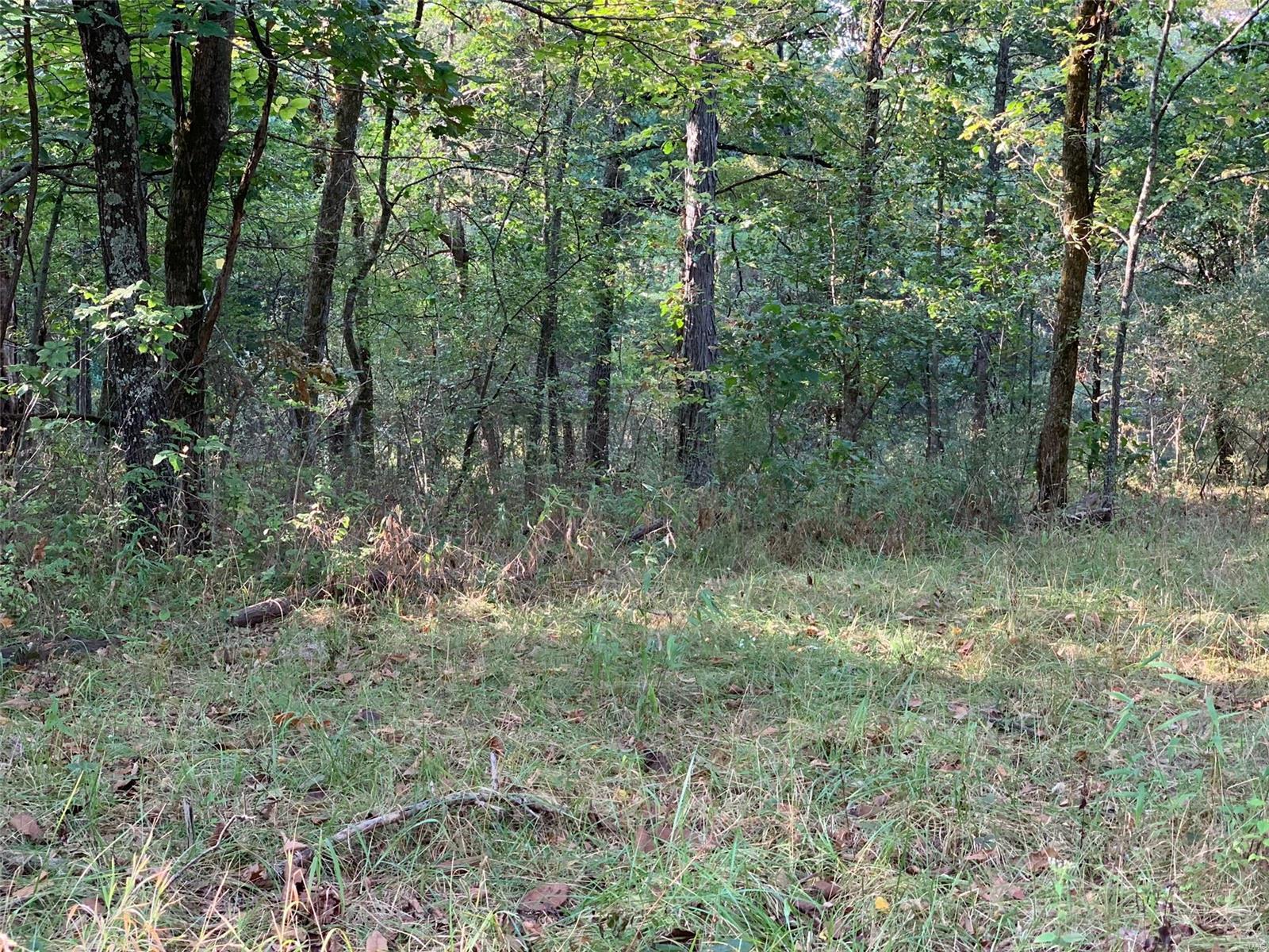 Williamsburg - Farm