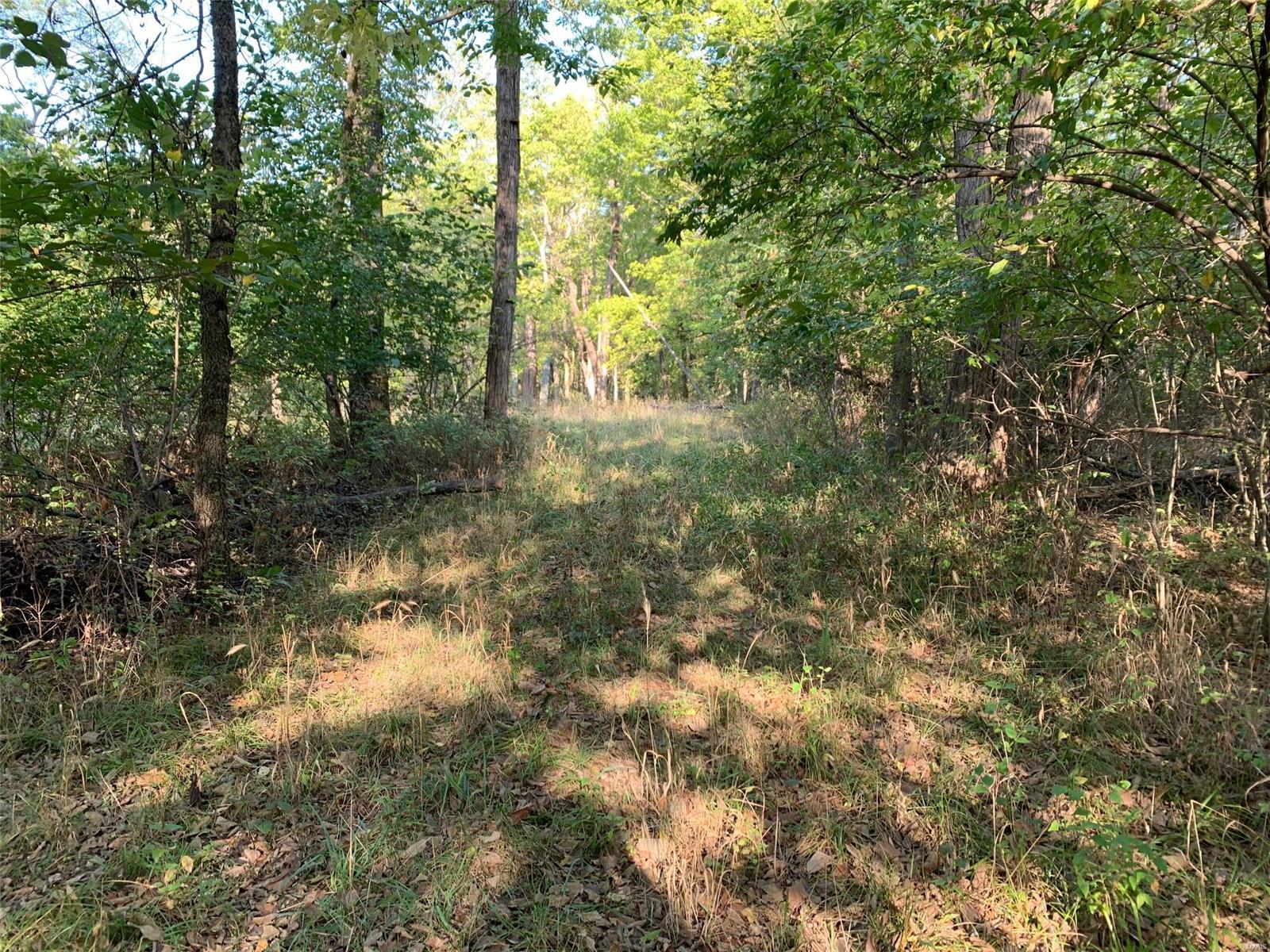 Williamsburg - Farm