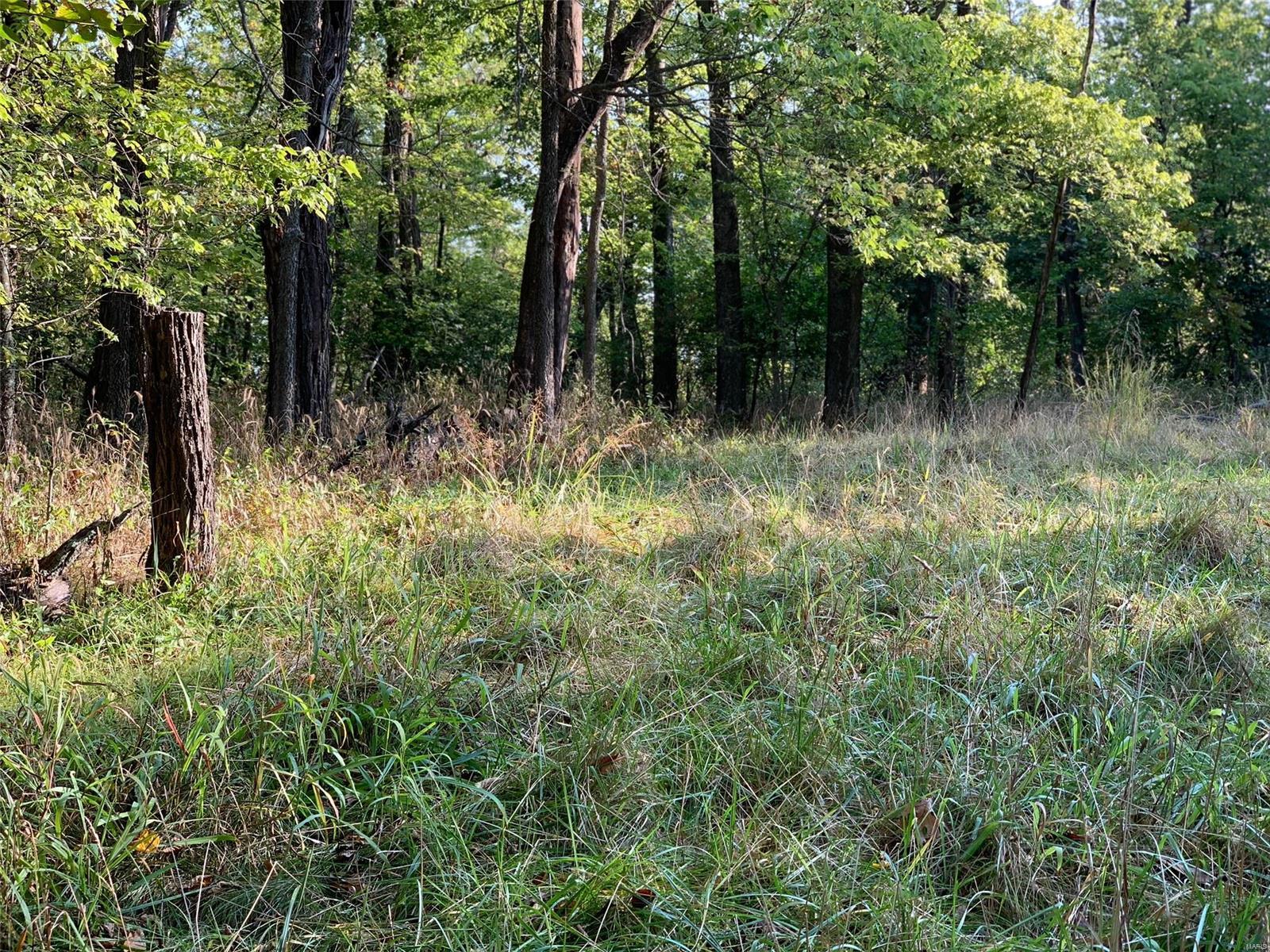 Williamsburg - Farm