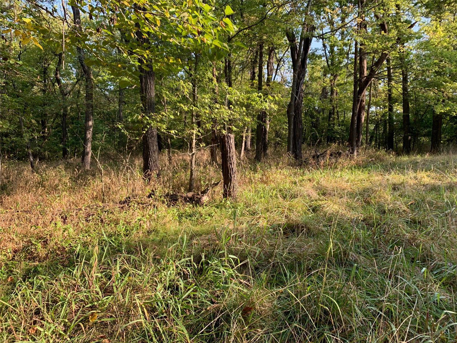 Williamsburg - Farm