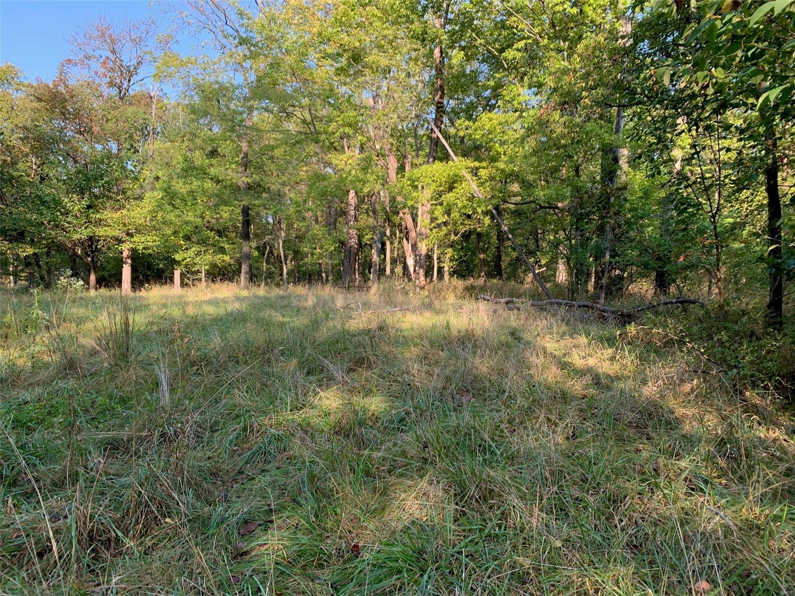 Williamsburg - Farm