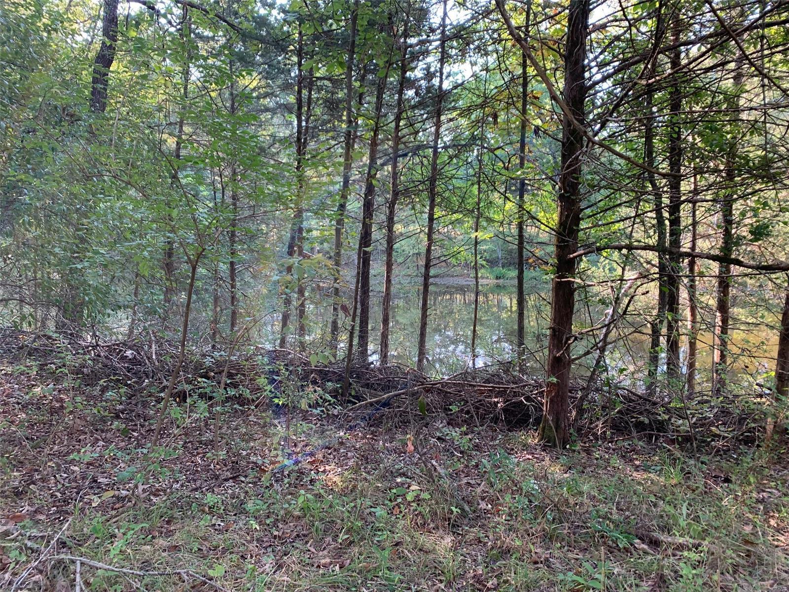 Williamsburg - Farm