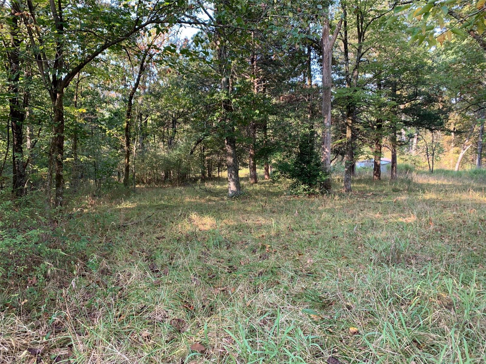 Williamsburg - Farm