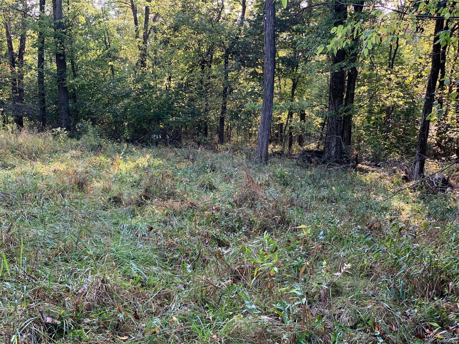 Williamsburg - Farm
