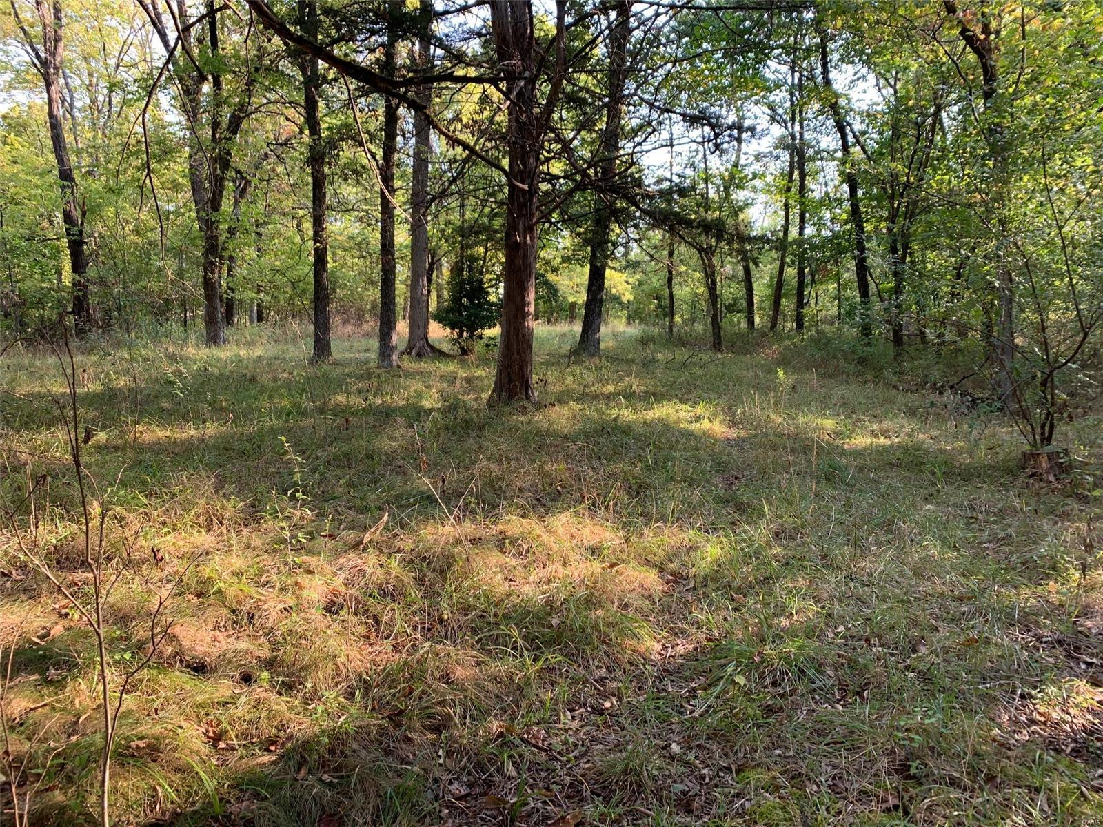 Williamsburg - Farm