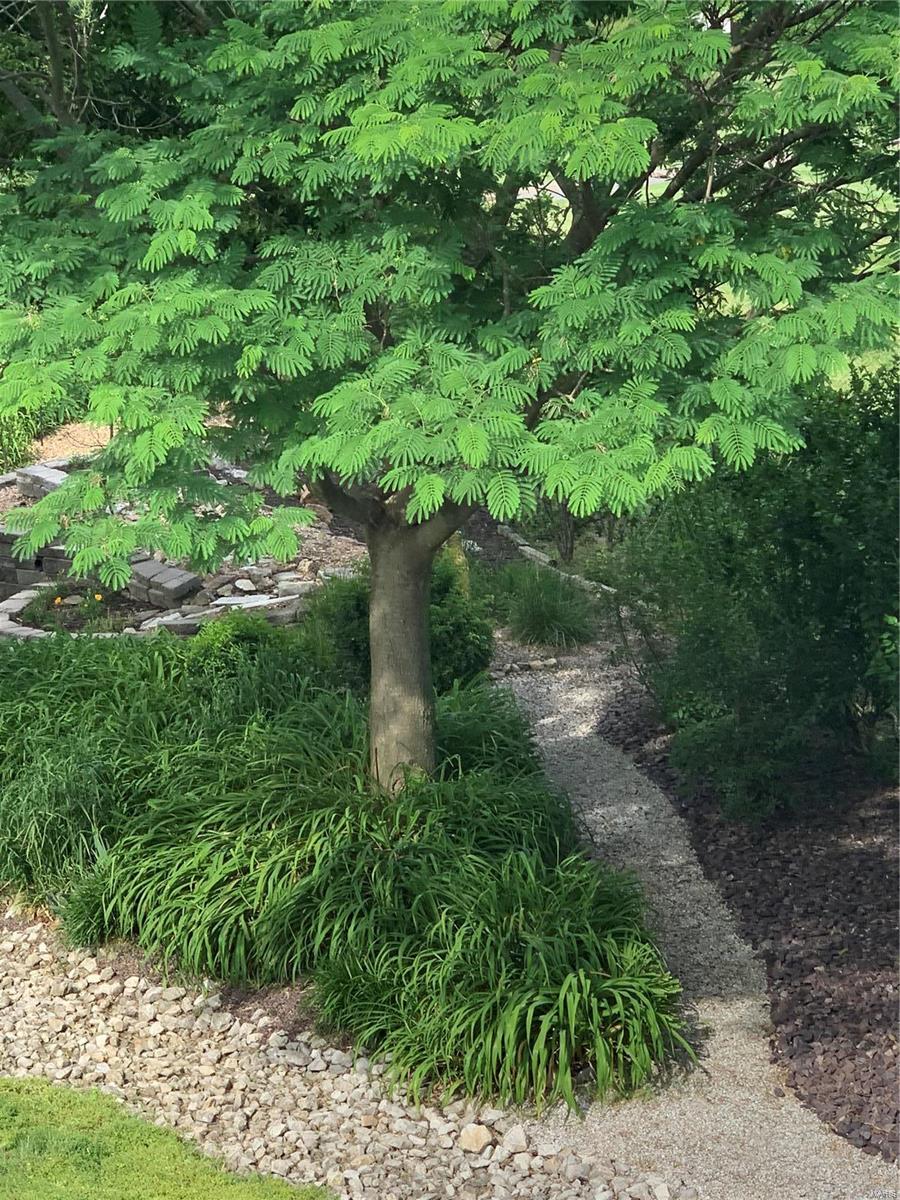 Hampton Woods - Residential