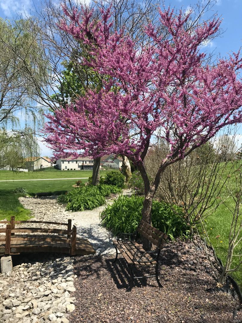 Hampton Woods - Residential