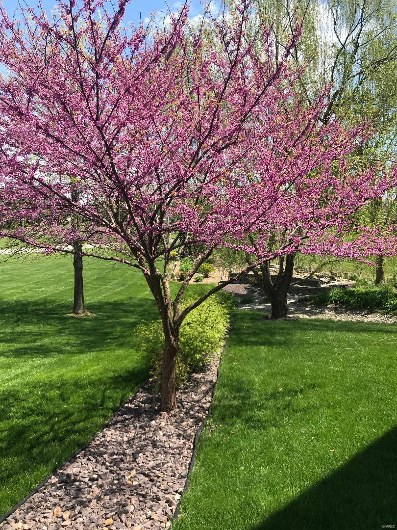 Hampton Woods - Residential