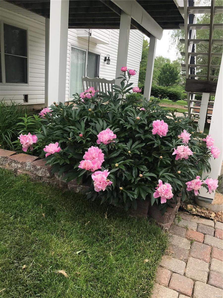 Hampton Woods - Residential