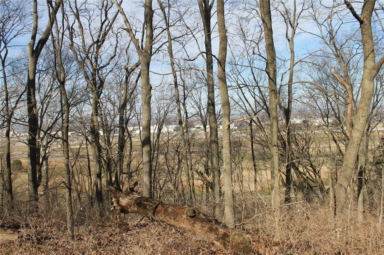 Mary Schaeffer Estate - Farm