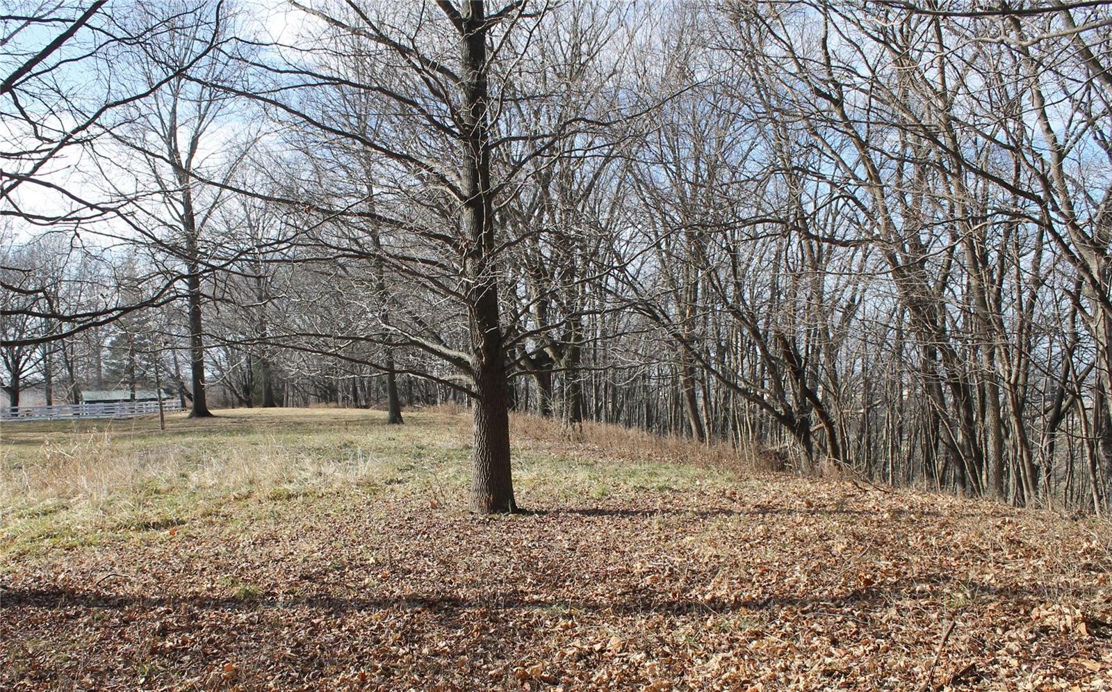 Mary Schaeffer Estate - Farm