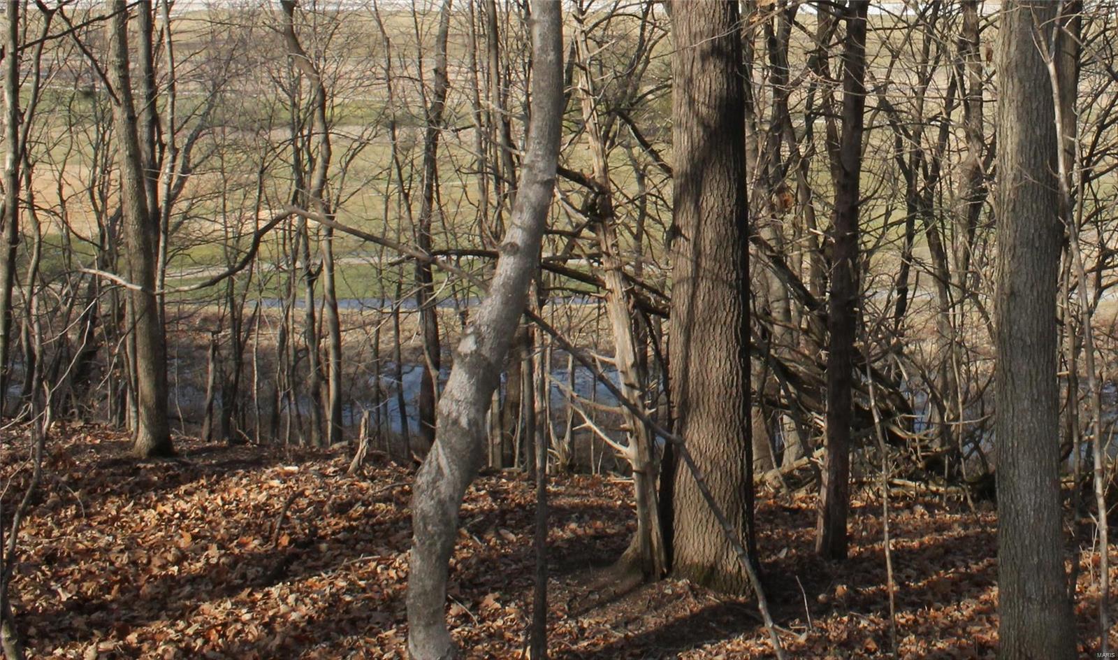 Mary Schaeffer Estate - Farm