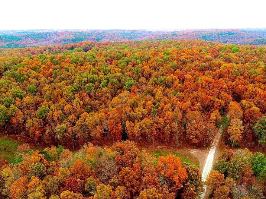 17 acres of prime property with access to some great fishing as it includes a private deeded easement road leading straight into the Big Piney River. This 17-acre parcel is what we are all looking for when it comes to a weekend getaway in the wilderness. With not only having river access but bordering 600 acres of national forest land it greatly expands your hunting and outdoor experience. While being tucked away in the timber you also have the security and privacy of an electronic gated road leading to the property. the mostly wooded property is 17.37 acres but feels like 50 and with additional the 600 acres to use at your leisure rather you are a big hunter or just like to get out for a hike the possibilities are endless. it is not every day you get to experience 600 acres and only pay for 17, so if you are an outdoorsman and have been looking for that perfect property now's your chance. call today for more details. Just 1/4 mile from the Boiling springs boat ramp.