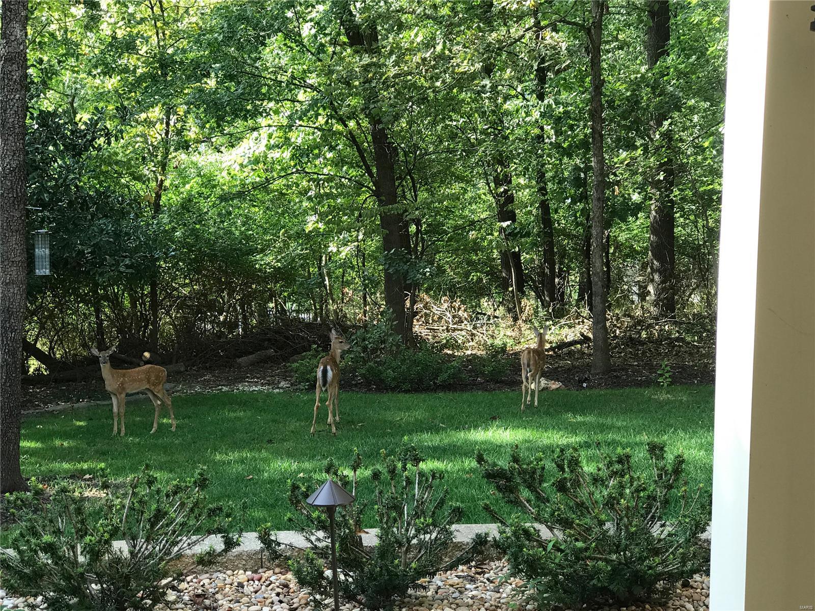 Tall Oaks At Winding Trails One - Residential