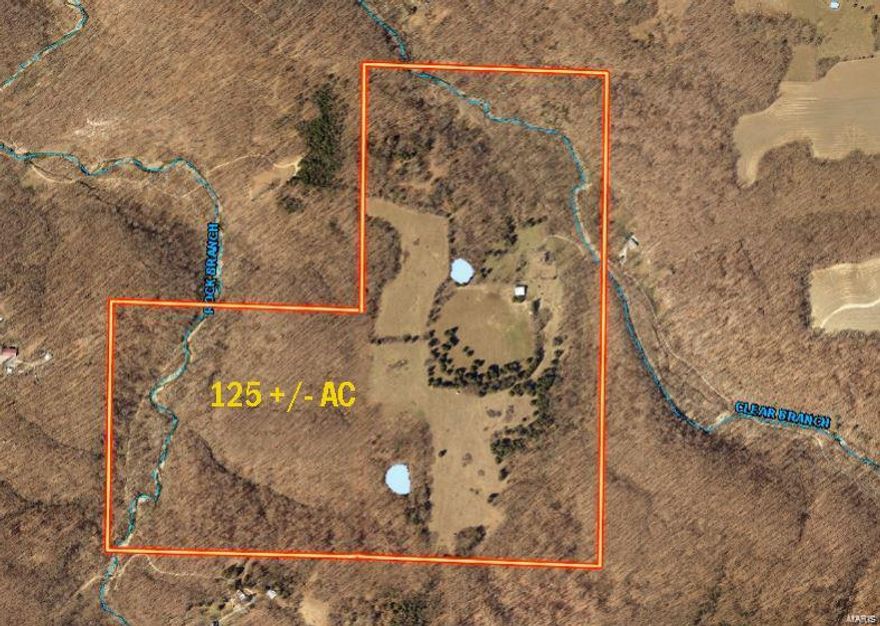 125 +/- acres located in beautiful Northern Warren County. This property has a great mix of pasture, woods, 2 ponds and 2 different creeks (Clear Branch and Rock Branch) 45 to 50 acres is open with the remainder being woods. There is an old 2 story farm house being used for recreation (Check pictures) the pole barn is 45 X 50. Also another building on the property is being used as a chicken coop. The property is currently used for cattle, chickens, recreation and hunting. Check pictures for beautiful deer that have been harvested from the property. The Deer and Turkey are fantastic! So many options for this property...farming, hunting, fishing, great for recreation or building a home on 125+/- acres. Complete seclusion and privacy.