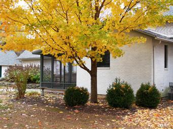 Downtown - Residential