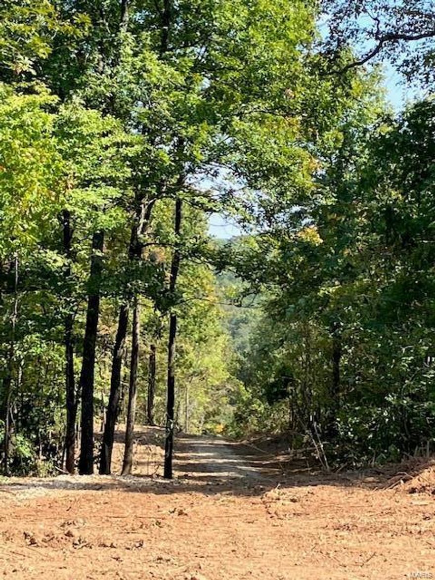 Less than 12 miles (15 minutes) from the historic Arcadia Valley, and only 40 minutes from Farmington, or about an hour from the St. Louis metro area. But once you're on the property all seems a world away!
Could this 20 acres with a camping or cabin site already in place be what you've been looking for and dreaming of ... your own piece of remote Ozarks. You'll be tucked into the gently rolling hills, an ideal place to build a secluded home or cabin. Or just use it as a campsite and base camp for hunting. You'll find deer, turkey, an occasional feral hog perhaps, and black bear. All have been documented either living on or passing through these woods.
The area is home to a population of whitetail deer, turkey and small game ... and even a black bear or wild hog can be found roaming the surrounding hills on occasion. 
If you're looking for an affordable getaway, you're private oasis deep in the woods, this is the property for you.
ADDITIONAL adjoining acres available!