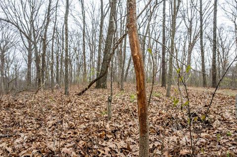 Tiny photo for 0 Pike 224, Eolia, MO 63344 (MLS # 25021843)