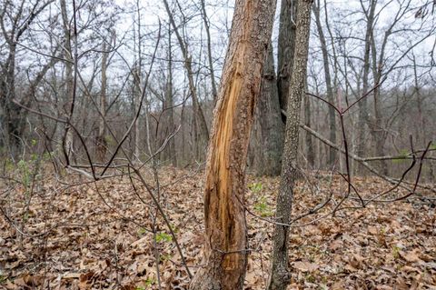 Tiny photo for 0 Pike 224, Eolia, MO 63344 (MLS # 25021843)