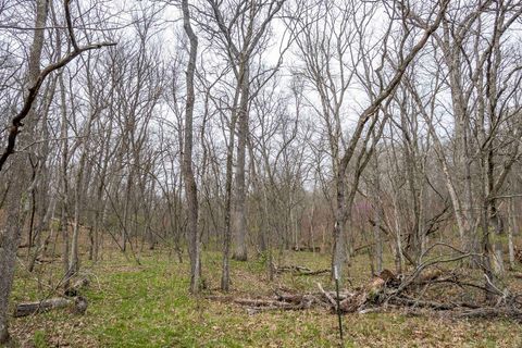 Tiny photo for 0 Pike 224, Eolia, MO 63344 (MLS # 25021843)
