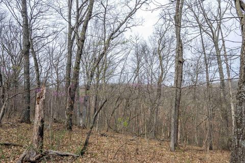 Tiny photo for 0 Pike 224, Eolia, MO 63344 (MLS # 25021843)