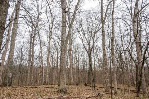 Tiny photo for 0 Pike 224, Eolia, MO 63344 (MLS # 25021843)