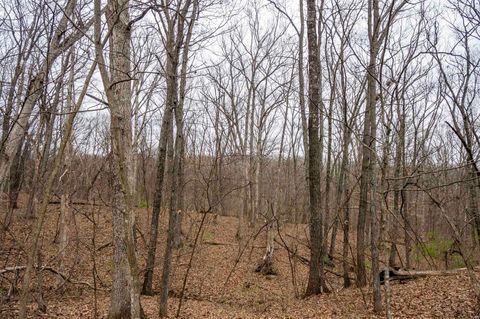 Tiny photo for 0 Pike 224, Eolia, MO 63344 (MLS # 25021843)