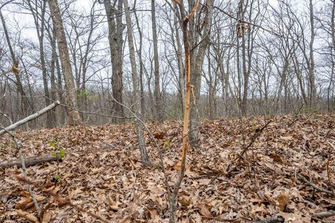Tiny photo for 0 Pike 224, Eolia, MO 63344 (MLS # 25021843)