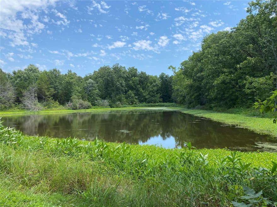 85.5 Surveyed acres in an exceptional location for residential development or for your family compound! This property boasts two large ponds and a great mix of woods and open ground.  City sewer and water are on the property and this is a growth area in need of more new homes! Just a mile north of I-70, a few minutes from all the conveniences of Warrenton, and just 12 minutes to Wentzville. Come and see what you have been looking for!