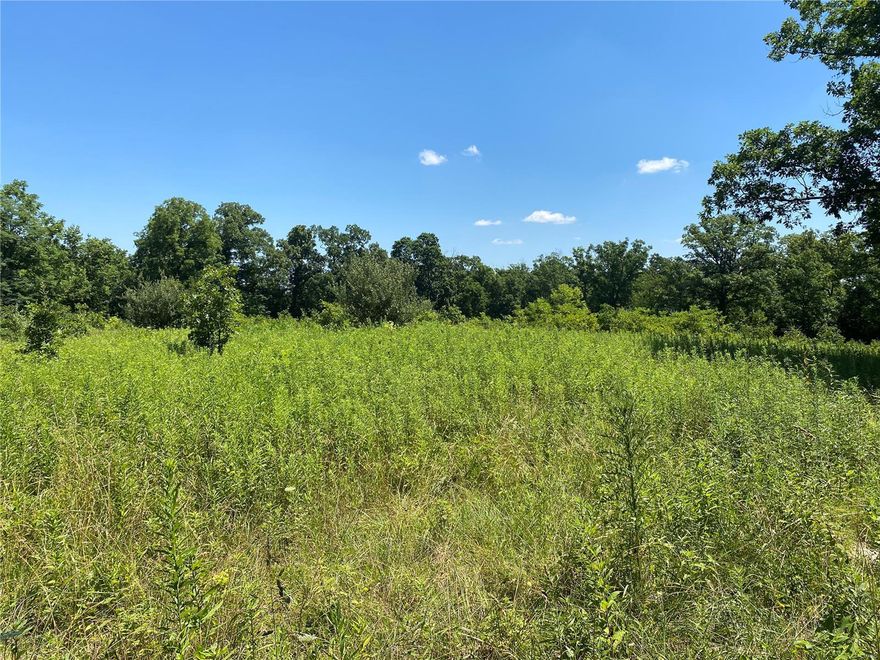 30 acres natural state ready for you to build your dream home on! Mostly wooded. Electric crosses property. Maybe you have some friends looking for Land and you could build your dream home and pick your neighbors! Property is loaded with deer trails and lay down areas! Just saw a doe and two fawns today! Small pond on land and zone possible lakesites! There may be some marketable timber !
